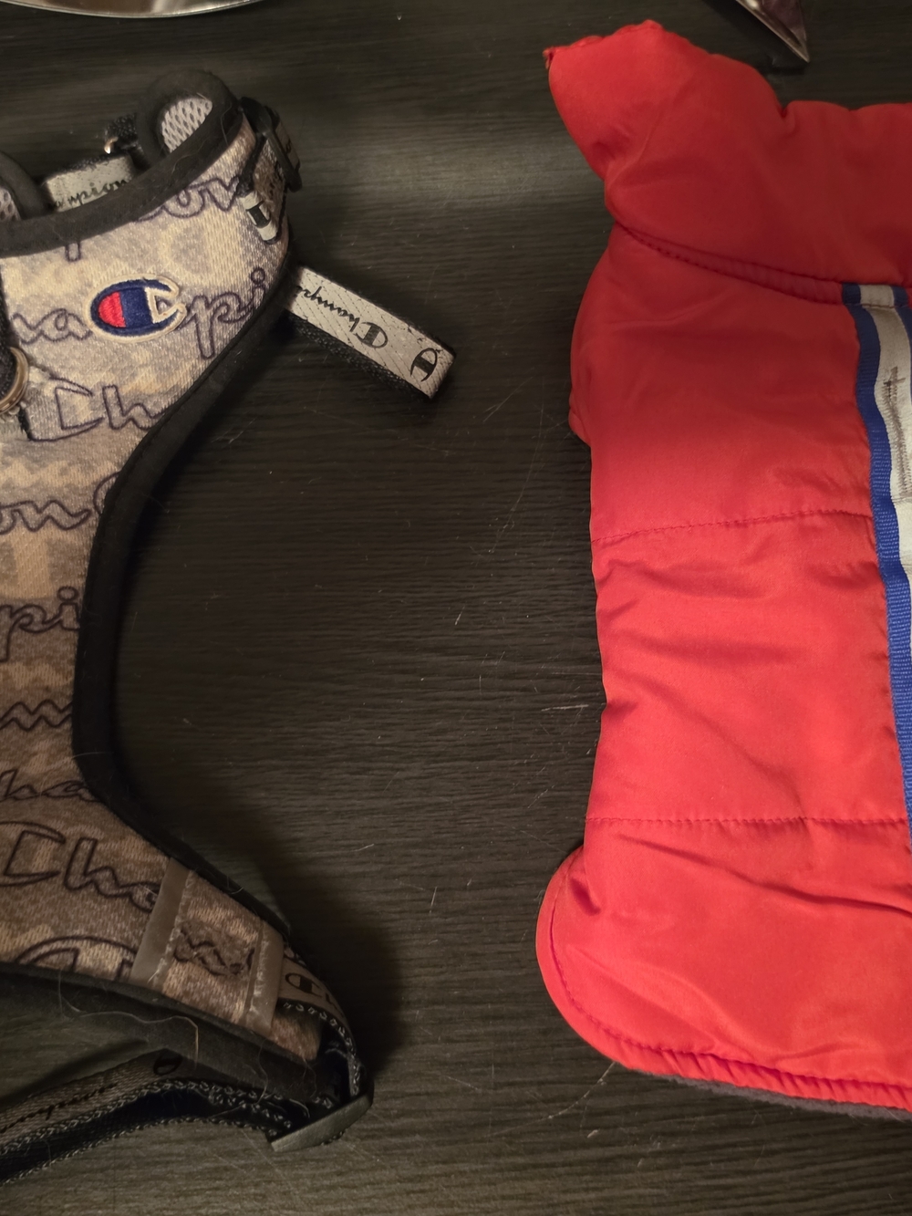 Champion Logo Harness & Red Puffer Dog Jacket Set
